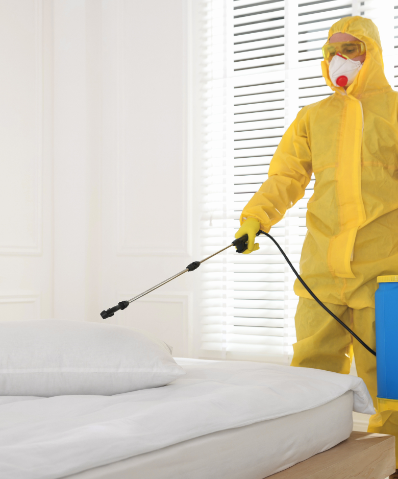Professional Pest Control Team in Evanston Gardens